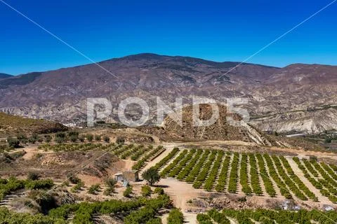 Huecija in La Alpujarra Granadina, Sierra Nevada, Spain. Stock Photos