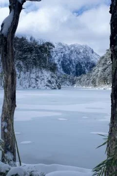 Huerquehe Stock Photos