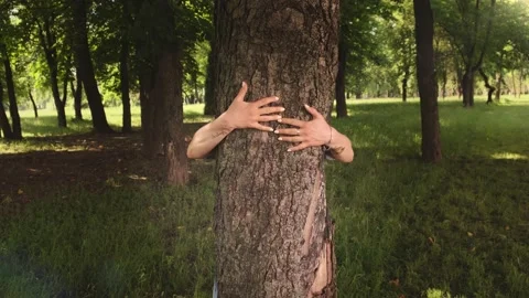 Hug and touch trees for calm and relaxation. Loving nature Stock Footage 133333767