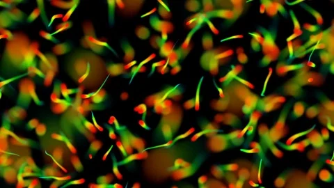 A huge amount of particles spreading in space in all directions. organic Stock Footage 81397662