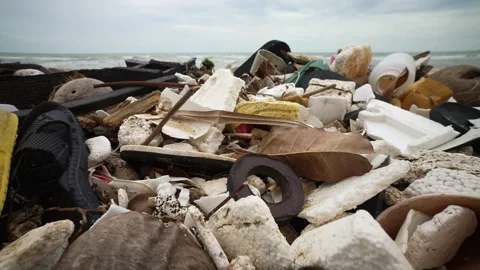 A Huge Amount of Plastic Debris on The Ocean Beach. Environmental Issues Stock Footage 343634828