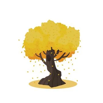 Huge autumn tree with large trunk. Yellow and orange falling leaves isolated Stock Illustration