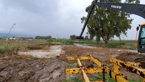 A huge backhoe loader clears twigs and branches for draining a clogged stream Видео 146287323