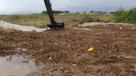 A huge backhoe loader clears twigs and branches for draining a clogged stream 스톡 동영상 146292797