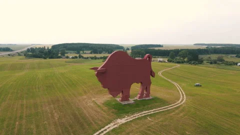 Huge bison statue in the middle of fields earial view Stock Footage 141823629