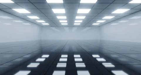 Huge Black And White Empty Room With Square Lights On Ceiling And Reflective  Ilustración de archivo
