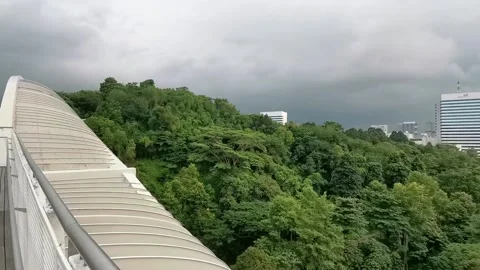 Huge Bridge in Forest Stock Footage 158073151