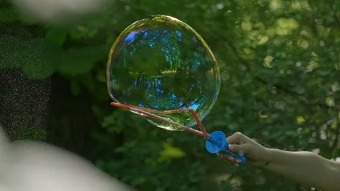 Huge Bubbles in the Forest Stock Footage 108685966