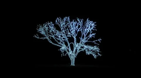 Huge Christmas Lit Tree Video stock 26188691