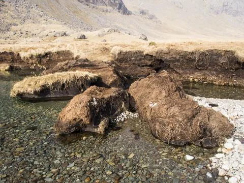 Huge chunks of peat eroded from the side of the Upper Esk by extreme flooding Stock Photos
