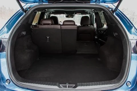 Huge, clean and empty car trunk in interior of compact suv. Rear view of a SU Stock Photos