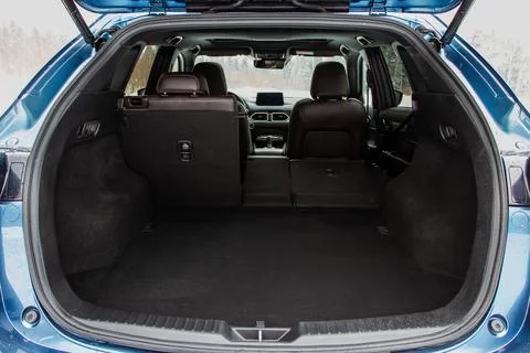 Huge, clean and empty car trunk in interior of compact suv. Rear view of a SU Stock Photos