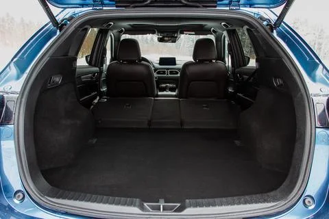 Huge, clean and empty car trunk in interior of compact suv. Rear view of a SU Stock Photos