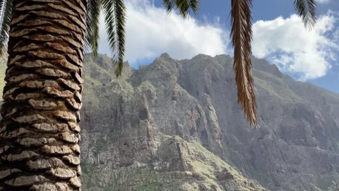 Huge cliffs and stone walls on the island of Tenerife. Spain. Stock Footage 276192436