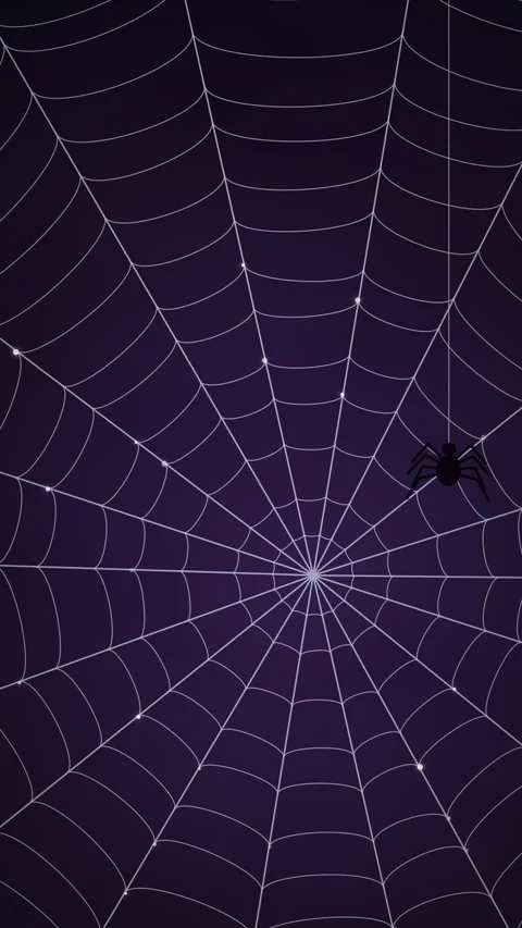 Huge Cobweb Background with Descending Spider for Halloween Stock Footage 345640510