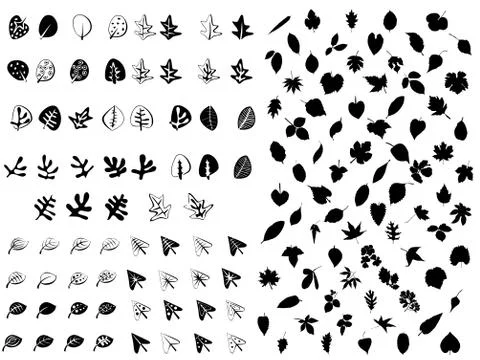 Huge collection of different style leafs Stock Illustration