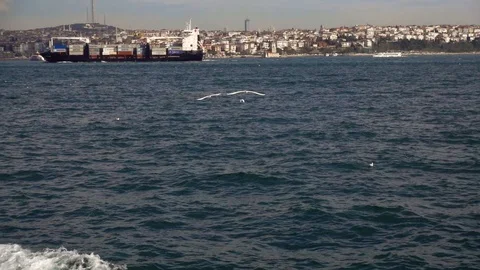 A huge container ship on the background of the city. Istanbul Bosphorus. Video stock 87914853