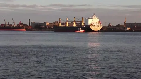 A huge container ship being towed to the pier of a cargo port by tugboats Stock Footage 161511537