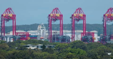 Huge cranes moving Containers, loading and unloading at shipping port. Heatwaves Stock-Footage 170908246