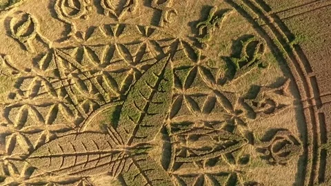Huge Crop Circle Drone Clip Close-Up, Ansty, Wiltshire, 12-Aug-16, HD Video stock 172286016