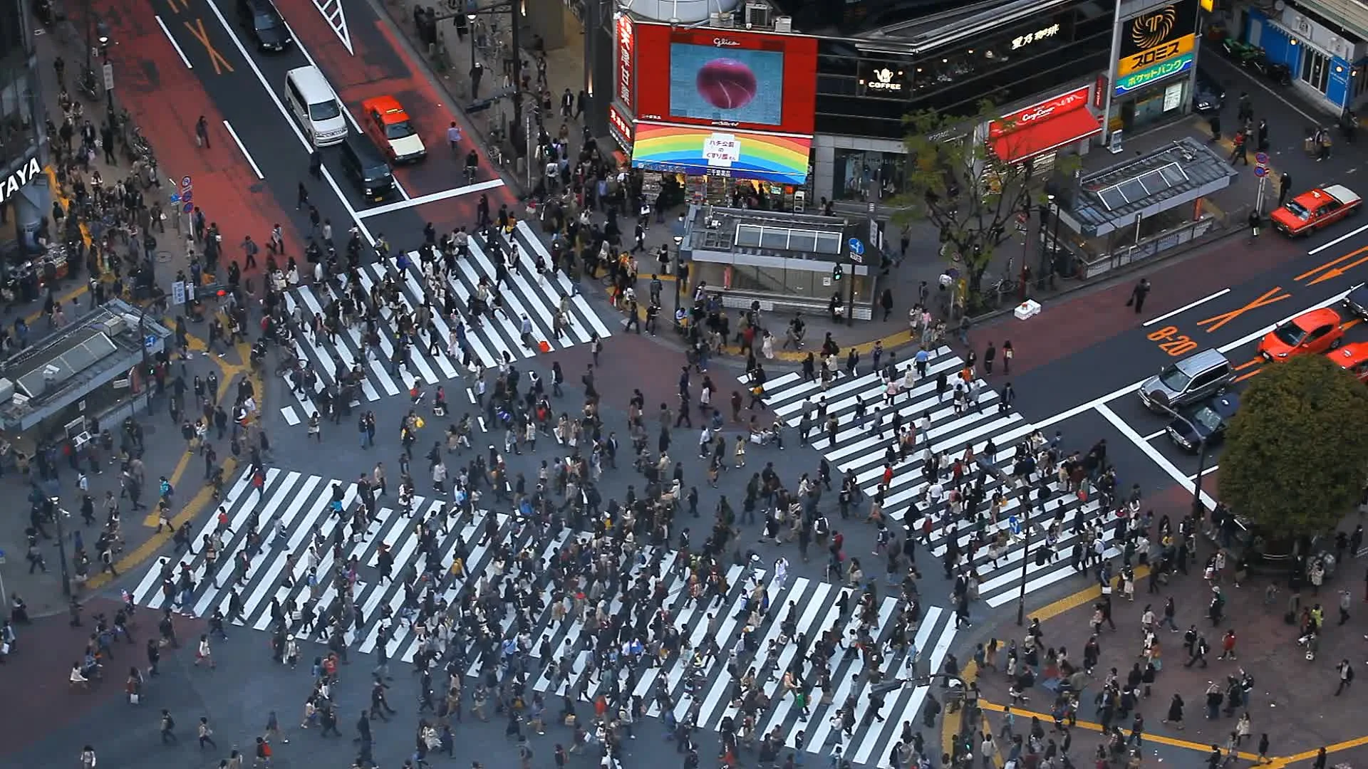 Huge Crowd Congestion People Walk Tokyo  | Stock Video