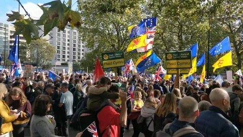Huge Crowd marching against Brexit deal, London, 4K Stock Footage 118278399