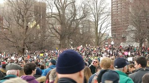 Huge Crowd of Protesters Boston March for Our Lives Stock-Footage 87639405