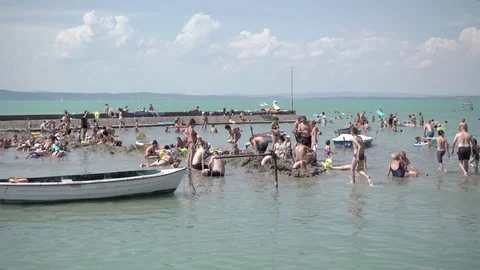Huge crowd in the water Stock Footage 77966702
