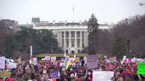 Huge crowds of protestors stand in front of the white house in Washington D.C. 库存影片 75697916
