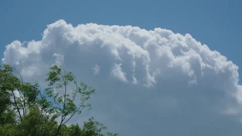 Huge cumulus cloud behind wind blowing trees Stock-Footage 334411819