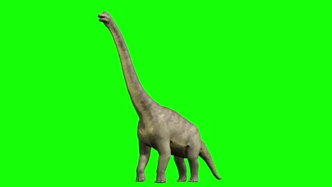 A huge dinosaur animation 4K Stock Footage 194855783