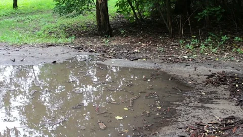 Huge dirty black puddle after the rain on the ground Stock Footage
