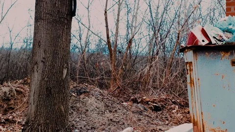 Huge Dump in Forest. Stock Footage 124225017