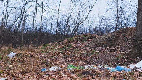 Huge Dump in Forest. Video stock 124225357