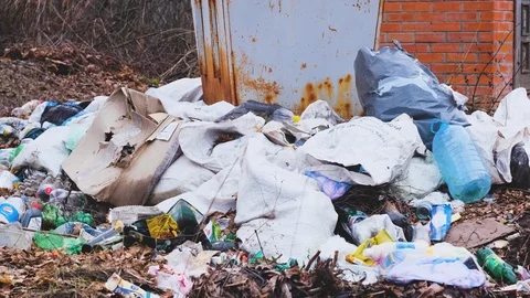 Huge Dump in Forest. Stock Footage 124225401