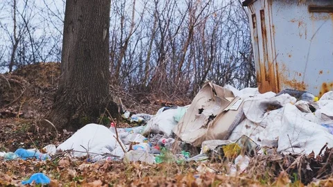 Huge Dump in Forest. Stock Footage 124225440