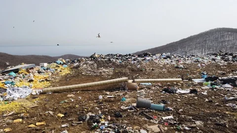 A huge dump of household waste. Stock Footage 126500439