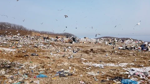 A huge dump of household waste. Stock Footage 126501005