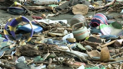 A huge dump on the ocean coastline. Close up. Stock Footage 218740869