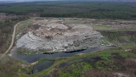 A huge dump outside the city, working cars drive garbage Stock Footage 157705985