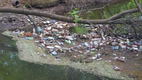 Huge dump of plastic waste in river in wooded area. Stock Footage 273465003
