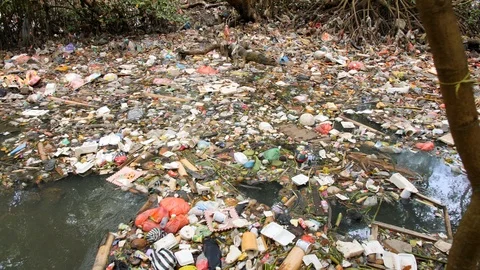 Huge Dump in Tropical Mangrove Tree Forest. Plastic Waste Rubbish Floating in Stock Footage 104071876