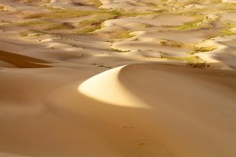 Huge dunes of the desert. Beautiful structures of sandy barkhans. Fine place for Stock Photos