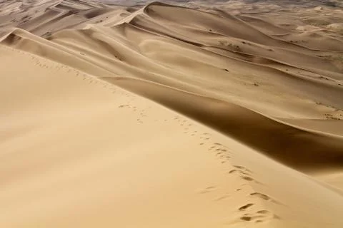 Huge dunes of the desert. Beautiful structures of sandy barkhans. Fine place for Stock Photos