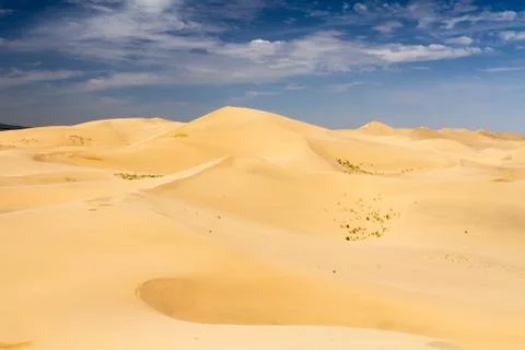 Huge dunes of the desert. Beautiful structures of sandy barkhans. Fine place for Stock Photos