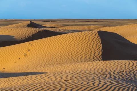 Huge dunes of the desert. Beautiful structures of sandy barkhan or sand-dune. Stock Photos