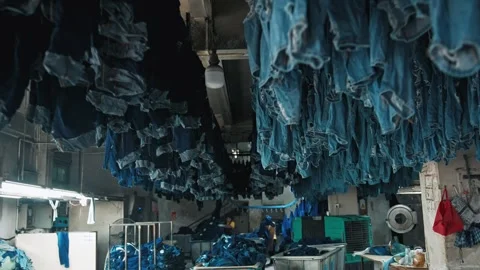 Huge Factory Laundry Drying Room with Thousands of Blue Denim Jeans Hanging Video stock 335610022