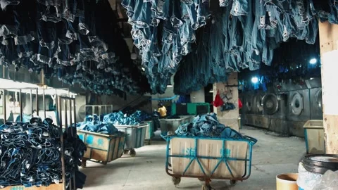 Huge Factory Laundry Drying Room with Thousands of Blue Denim Jeans Hanging Stock Footage 336151201