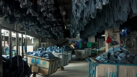 Huge Factory Laundry Drying Room with Thousands of Blue Denim Jeans Hanging Video stock 342579944