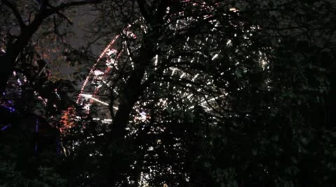 Huge Feris wheel from through trees Stock Footage 10688731